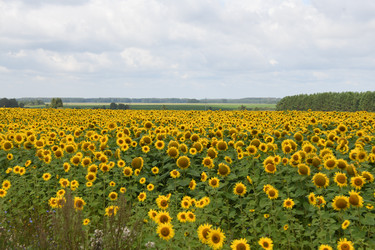 Similar image 22189591