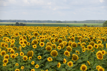 Similar image 22189592