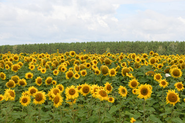 Similar image 22189593