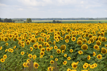 Similar image 22189594