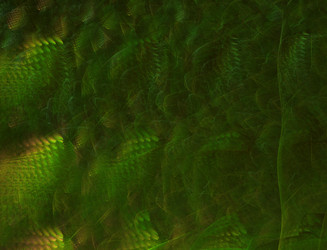 Similar image 22192137