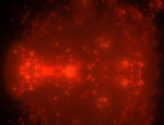 Similar image 22192139