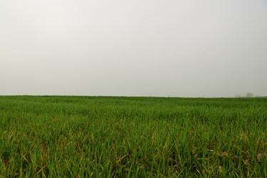 Similar image 22189468