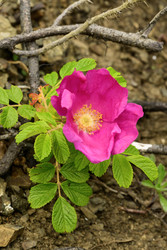 Similar image 22189470