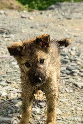 Similar image 22189472