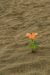 Similar image 22189473