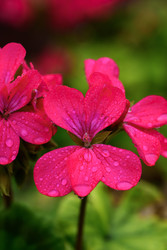 Similar image 22189478