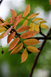 Similar image 22189479