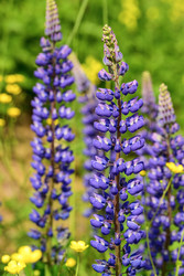 Similar image 22189480