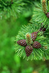 Similar image 22189482