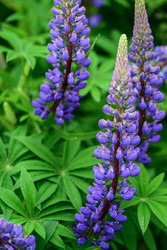 Similar image 22189484