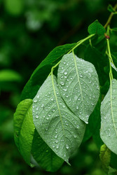 Similar image 22189485