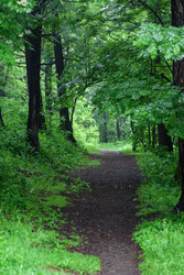 Similar image 22189486