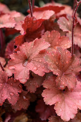 Similar image 22189487