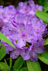 Similar image 22189488