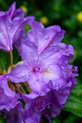 Similar image 22189489