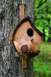 Similar image 22189490