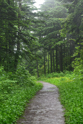 Similar image 22189751