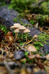 Similar image 22189754