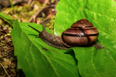 Similar image 22189493