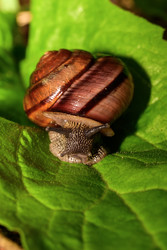 Similar image 22189495