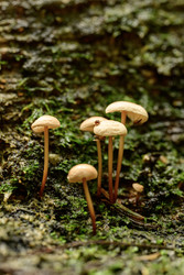 Similar image 22189755