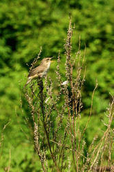 Similar image 22189757