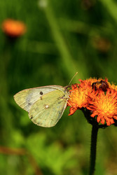 Similar image 22189758