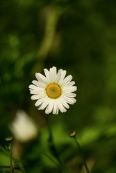 Similar image 22189759