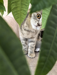 Similar image 22189497