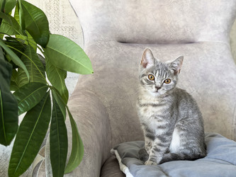 Similar image 22189498