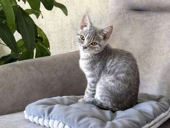 Similar image 22189500