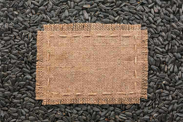 Similar image 22194583