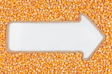 Similar image 22194586