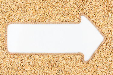 Similar image 22194605