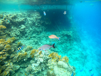 Similar image 22190264