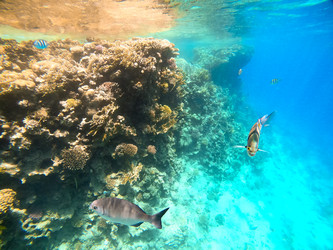 Similar image 22190268