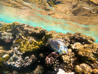 Similar image 22190270