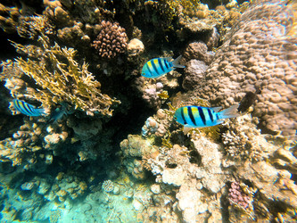 Similar image 22190272