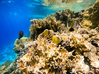 Similar image 22190273