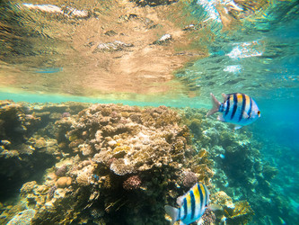 Similar image 22190276