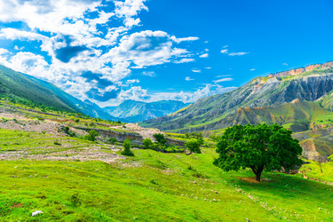 Similar image 22190360