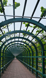 Similar image 22190707