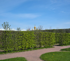 Similar image 22190713