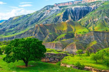 Similar image 22190300