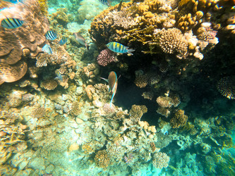 Similar image 22190334