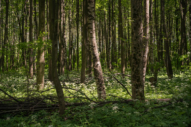 Similar image 22189516