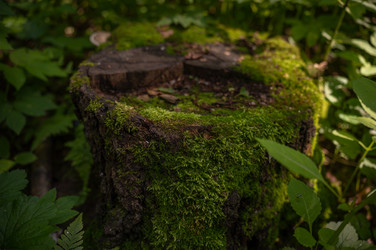 Similar image 22189517