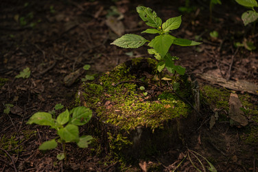 Similar image 22189518