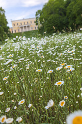 Similar image 22190369